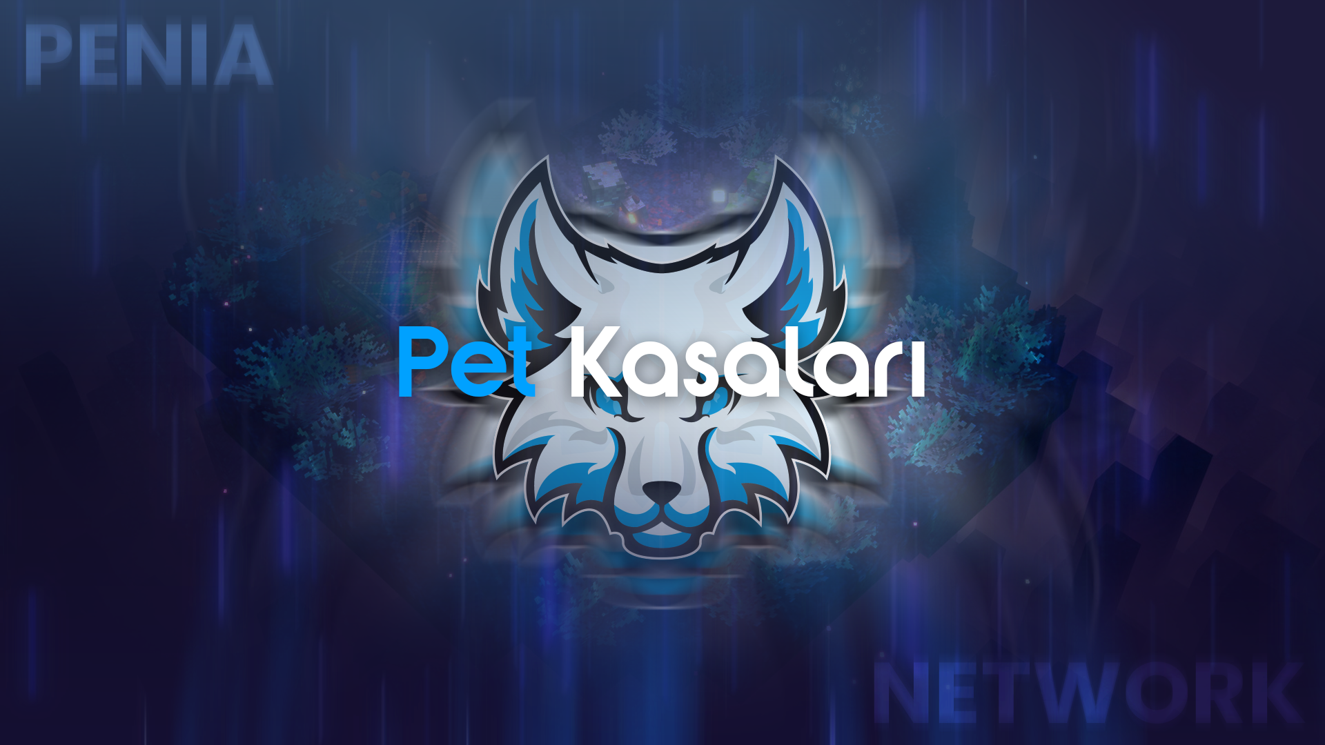 Pet Kasaları